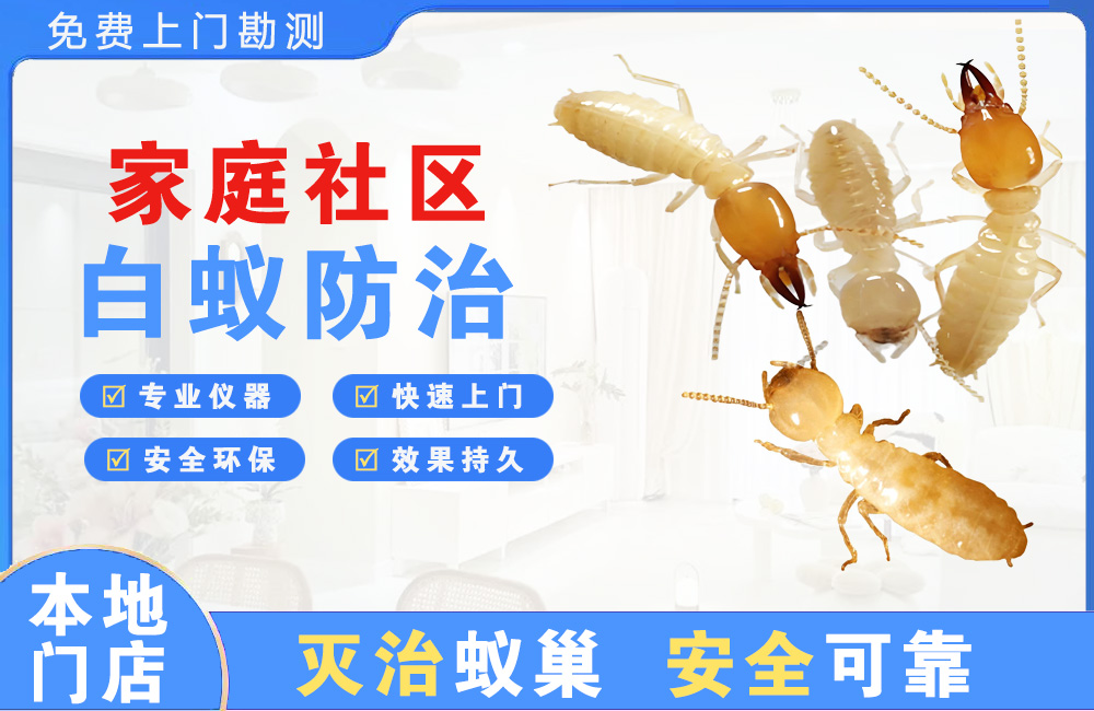 阆中家庭社区白蚁防治