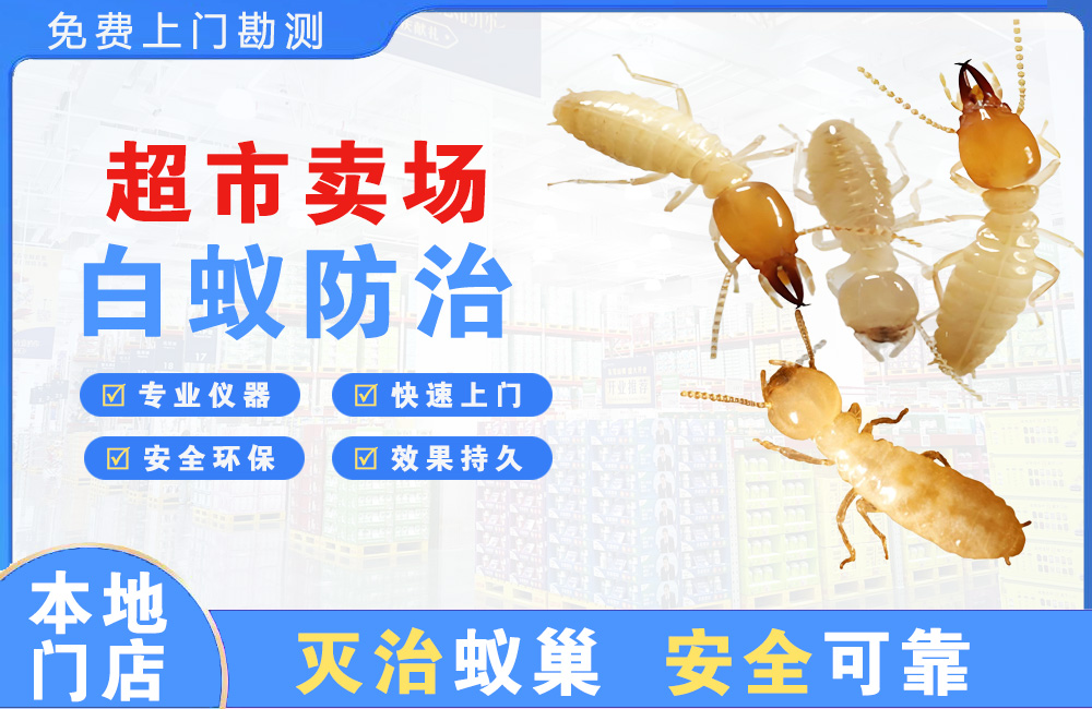 阆中超市卖场白蚁防治