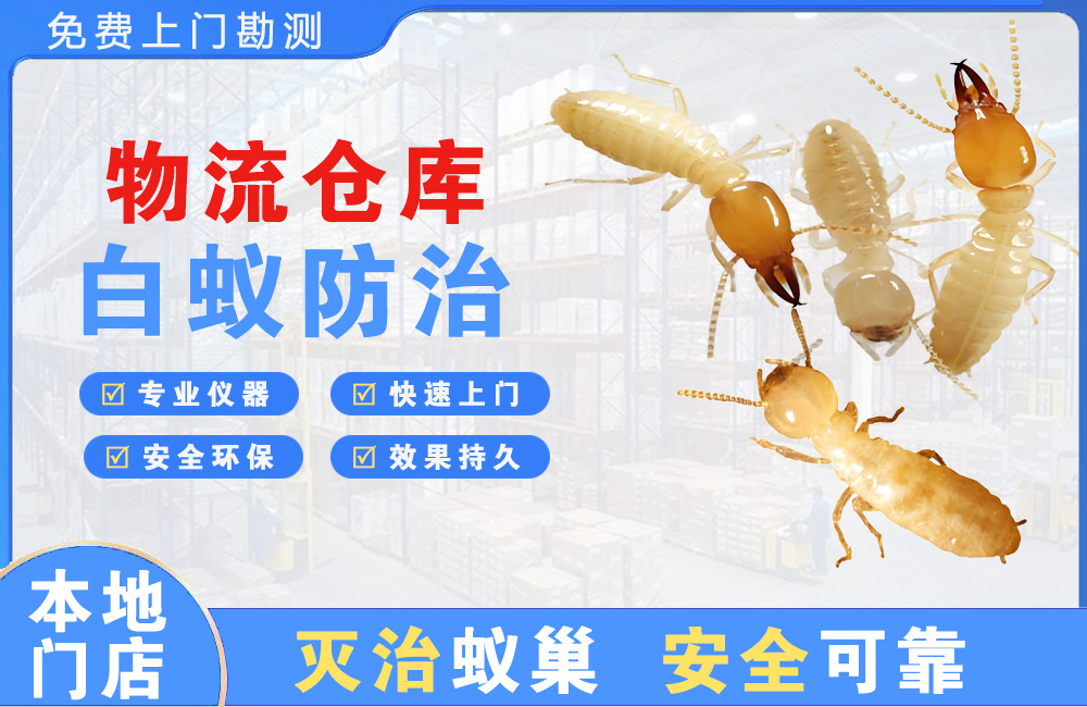 阆中物流仓库白蚁防治