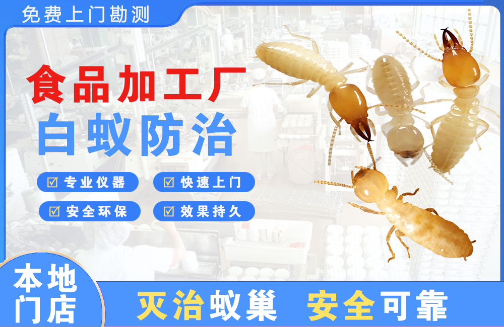 阆中食品加工厂白蚁防治