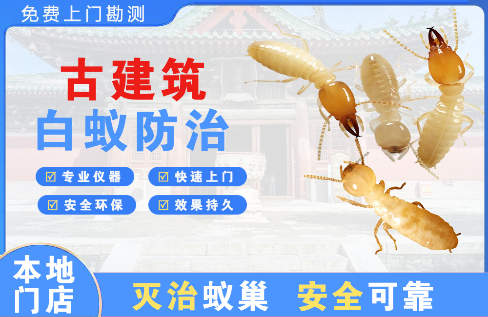 阆中古建筑白蚁防治