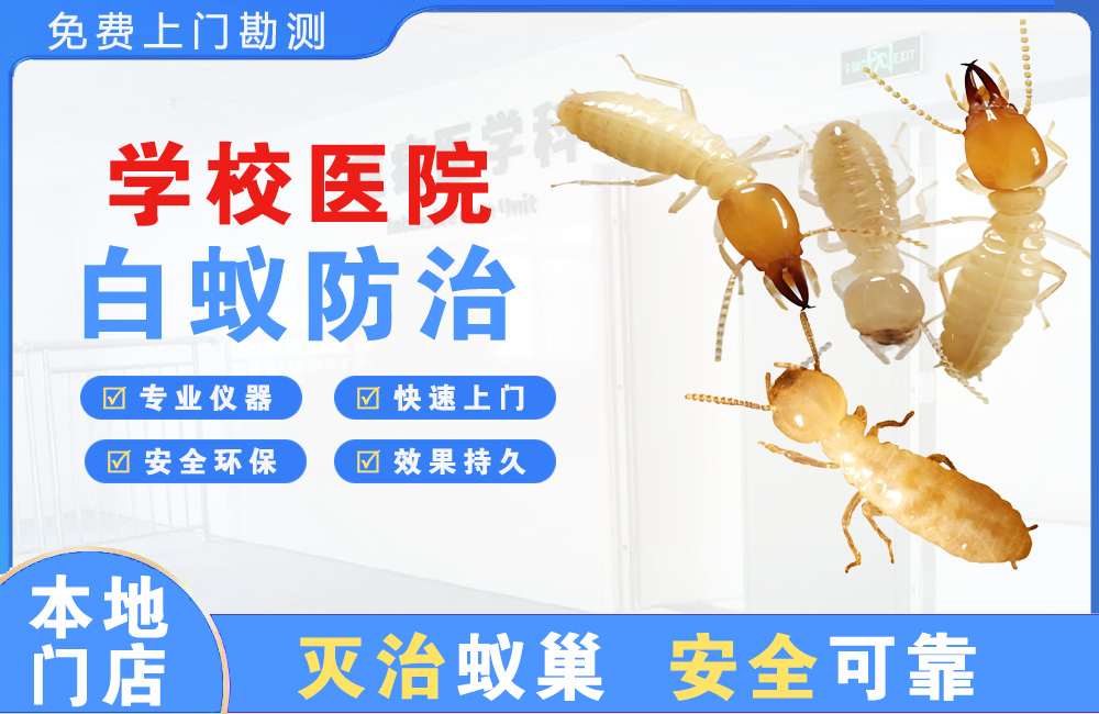 阆中学校医院白蚁防治