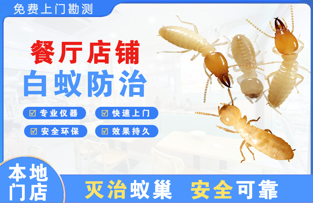 阆中餐厅店铺白蚁防治